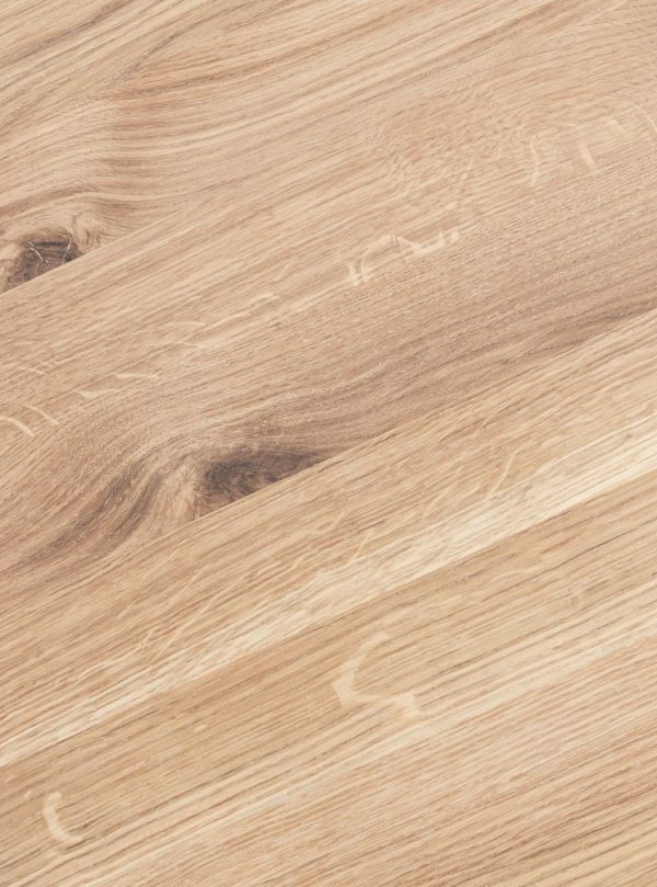 Ash - Image 6