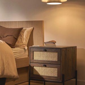 Rattan