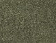 dark-green