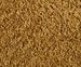 boucle-ochre