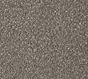 boucle-taupe